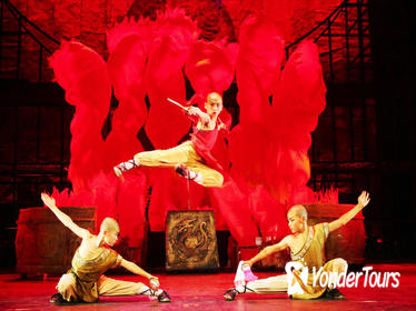 Beijing Private Tour: Shaolin Kung Fu Show and Gourmet Peking Roasted Duck Dinner
