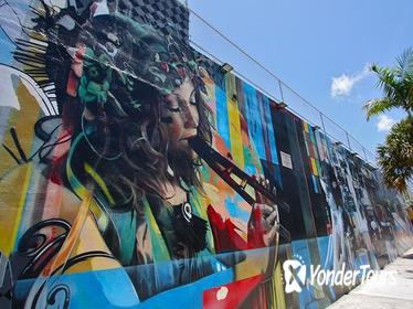 Best of Wynwood: Street Art and Gallery Tour