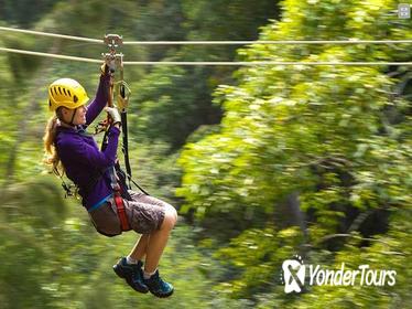 Big Island Kohala Canopy Zipline Adventure