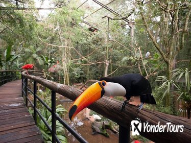 Bird Park & Iguassu Brazilian Side - Private Tour