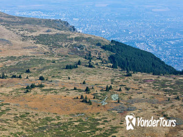 Birdwatching in Vitosha Nature Park from Sofia Birdwatching in Vitosha Nature Park from Sofia