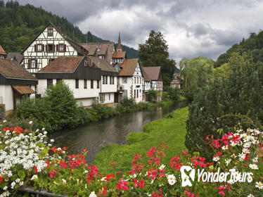 Black Forest and Rhine Falls Day Trip from Zurich Black Forest and Rhine Falls Day Trip from Zurich