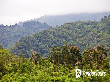 Blue Mountain Bicycle Tour from Montego Bay