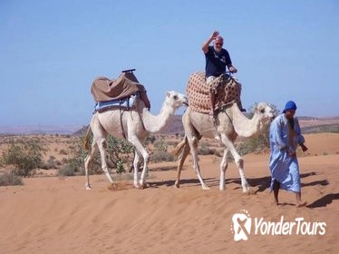 Book Agadir Desert Safari Day Trip with Lunch and Get a Free Agadir City Tour