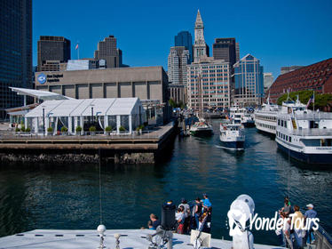 Boston Super Saver: Whale-Watching Cruise Plus Admission to New England Aquarium