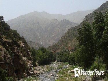 Breathtaking Ourika Valley Day Tour including Mountain Hike and Lunch from Marrakech