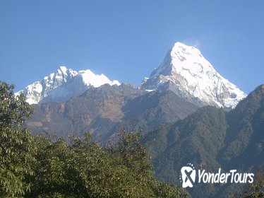 Budget Trekking in Nepal - Rapid Annapurna Base Camp Trek - 7 Days