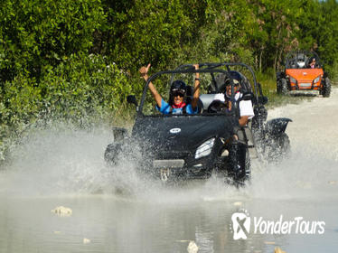 Buggy Tour to Rancho Macao