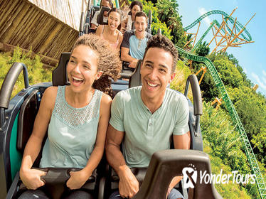 Busch Gardens Tampa Bay Admission Ticket