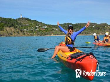 Byron Bay Dolphin Sea Kayak Tour