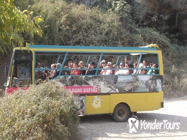 Cabrio Bus Safari and Village Tour