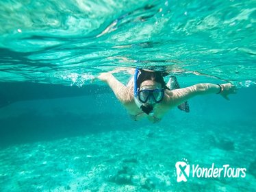 Cades Reef Snorkel Cruise