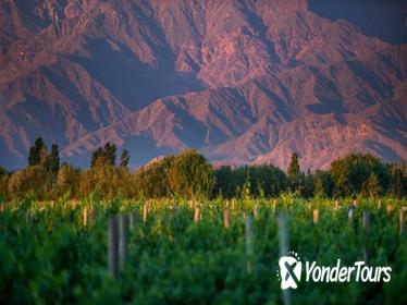 Cafayate Wine Route Day Tour from Salta