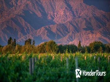 Cafayate Wine Route Day Tour from Salta Cafayate Wine Route Day Tour from Salta