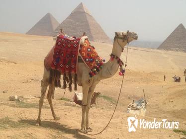 Cairo Giza and Luxor in Two Days in including Domestic flight