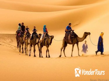 Camel Treks in the Desert of Merzouga