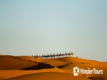 Camel Treks in the Moroccan Desert departing from Merzouga