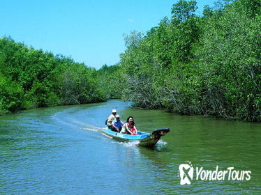 Can Gio Mangrove and Monkey Island Adventure Tour from Ho Chi Minh City