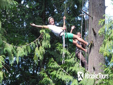 Canopy Tree Climbing at Deception Pass State Park