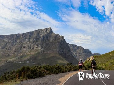 Cape Peninsula Bike Tour from Cape Town
