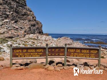Cape Peninsula Guided Day Tour from Cape Town