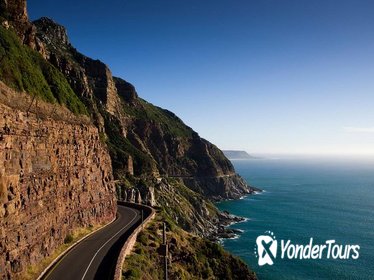 Cape Peninsula Guided Private Day Trip from Cape Town