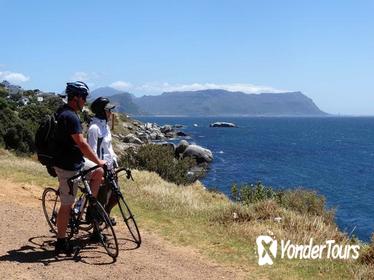 Cape Peninsula Guided Road Bike Day Tour from Cape Town