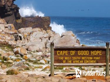 Cape Peninsula Private Day Tour