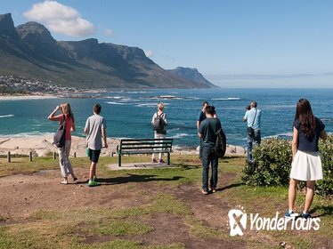 Cape Peninsula Tour from Cape Town