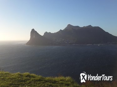 Cape Peninsula: Day Tour from Cape Town
