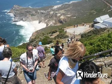 Cape Point and Winelands Full Day Tour from Cape Town