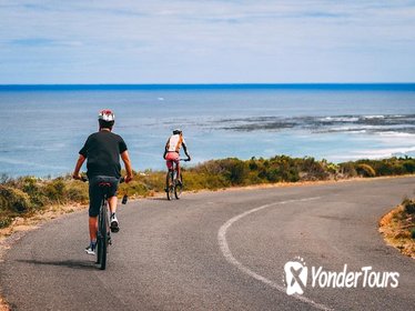 Cape Point Biking and Hiking Tour from Cape Town