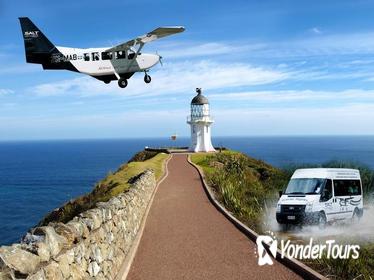 Cape Reinga Half-Day Tour Including Scenic Flight