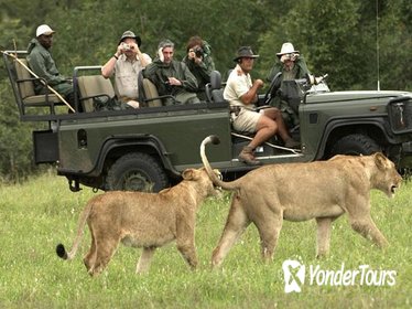 Cape Town Tour: Inverdoorn Game Reserve Safari