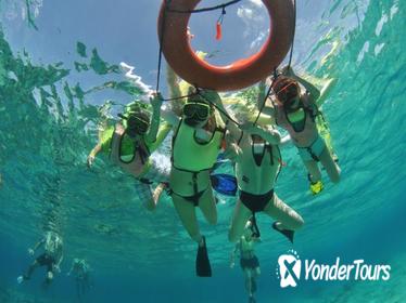 Caribbean Snorkel Tour in Grand Turk's Coral Reef Caribbean Snorkel Tour in Grand Turk's Coral Reef