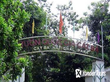 Cat Ba Trekking Tours National Park Half Day From Cat Ba Island Cat Ba Trekking Tours National Park Half Day From Cat Ba Island
