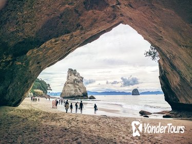 Cathedral Cove Day Trip from Auckland