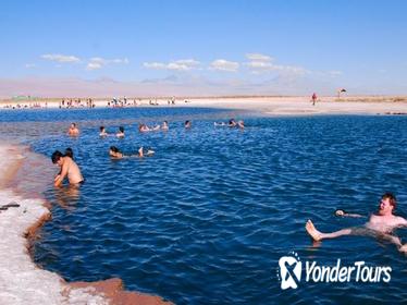 Cejar Lagoon Half-Day Tour from San Pedro de Atacama