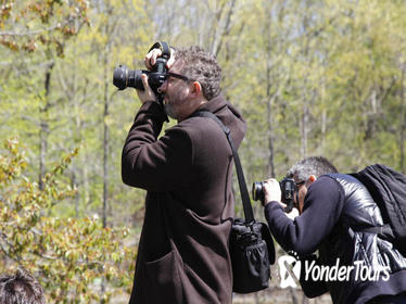 Central Park Photography Tour