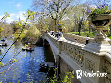 Central Park Secrets And Highlights