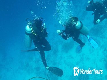 Certified 2-Tank Scuba Diving Tour from Montego Bay