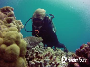 Certified Diving Tour: Waikiki South Shore Shallow Boat Dive