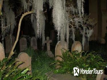 Charleston Haunted History Horse and Carriage Tour with Old South Carriages