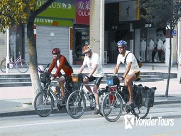 Chengdu Half-Day Bike Tour Chengdu Half-Day Bike Tour