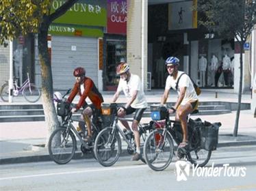 Chengdu Half-Day Bike Tour