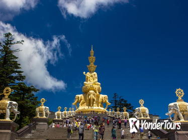 Chengdu Panda Leshan Buddha and Mount Emeishan 2 Days Group Tour