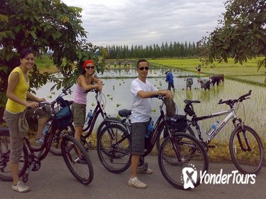 Chiang Mai Paradise Full-Day Cycling Adventure