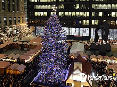 Chicago Holiday Lights Trolley and Christmas Market Tour