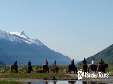 Chilkoot Horseback Adventure