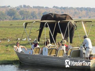 Chobe Day Trip From Victoria Falls